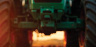 Why Asia beats Africa for new SA agricultural exports