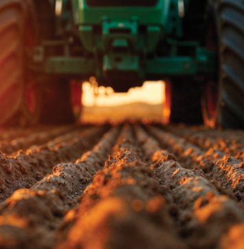 Why Asia beats Africa for new SA agricultural exports