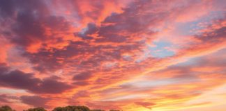 CLEARING NATURAL VEGETATION: a legal and practical guide for SA producers