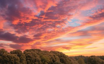 CLEARING NATURAL VEGETATION: a legal and practical guide for SA producers