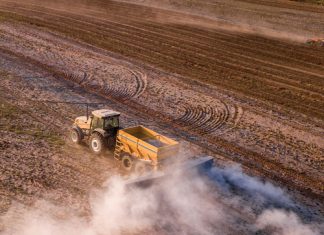 Die regte kalk teen die regte prys