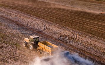 Die regte kalk teen die regte prys