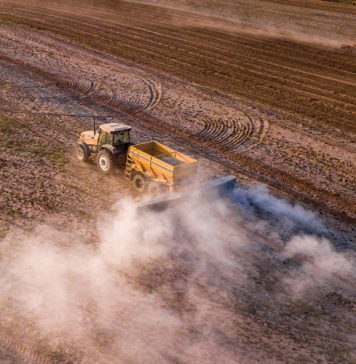Die regte kalk teen die regte prys