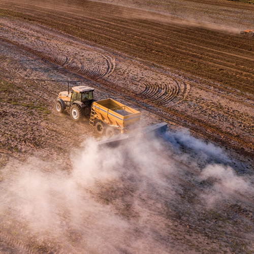 Die regte kalk  teen die regte prys