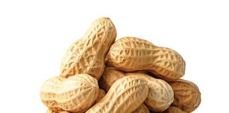 SA’s groundnut industry: a small crop with a big strategic role