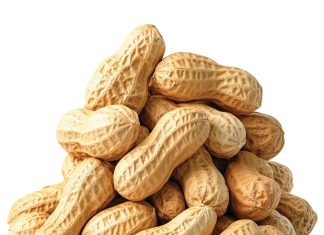 SA’s groundnut industry: a small crop with a big strategic role