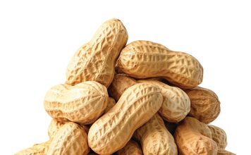 SA’s groundnut industry: a small crop with a big strategic role