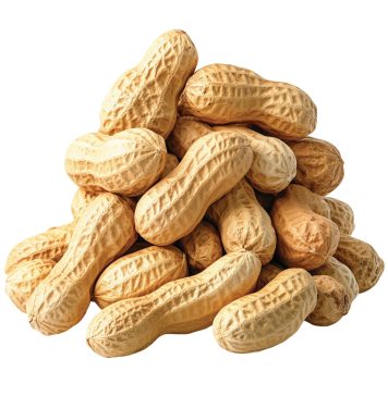 SA’s groundnut industry: a small crop with a big strategic role