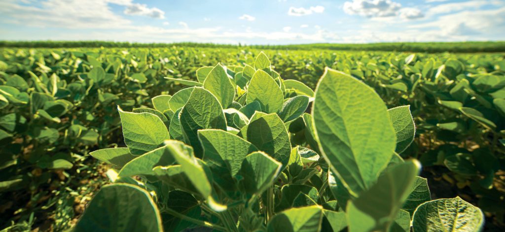 The benefits and successes of the SACTA levy