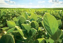 The benefits and successes of the SACTA levy