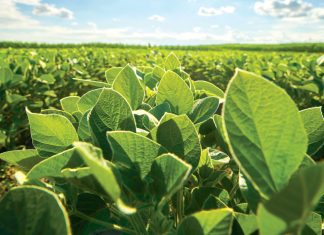 The benefits and successes of the SACTA levy