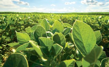 The benefits and successes of the SACTA levy