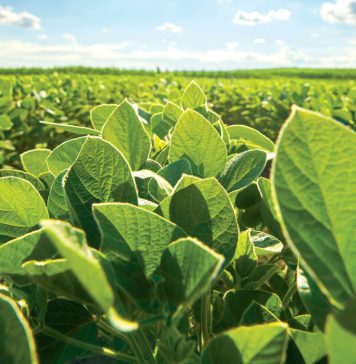 The benefits and successes of the SACTA levy