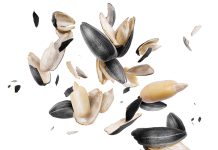 Werd om te weet oor saad