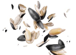 Werd om te weet oor saad