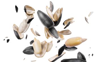 Werd om te weet oor saad