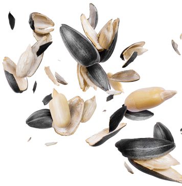 Werd om te weet oor saad