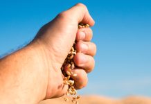 NBTS IN WHEAT: regulatory and trade implications for SA