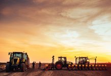 Precision agriculture in action: scaling on-farm experiments for profitability