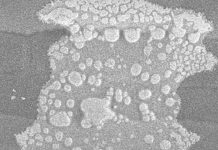 Watergehalte in PERSPEKTIEF