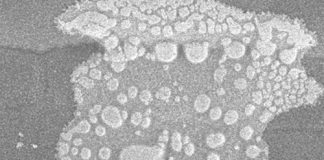 Watergehalte in PERSPEKTIEF