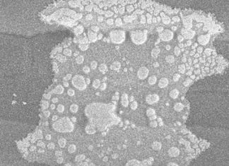 Watergehalte in PERSPEKTIEF