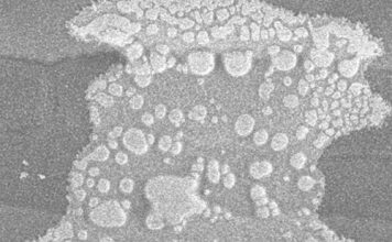 Watergehalte in PERSPEKTIEF