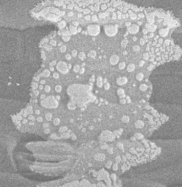 Watergehalte in PERSPEKTIEF