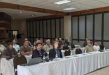 Streeksvergaderings: realiteite, brandpunte en die pad vorentoe