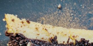 Graan SA/John Deere Graan-Lekker-kompetisie: Maart-wenner