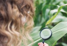 Understanding maximum residue levels in grain production