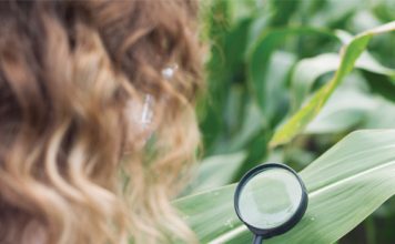Understanding maximum residue levels in grain production