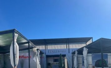 Global exhibitors reinforce international reach