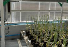 Future-fit grain research infrastructure and innovation