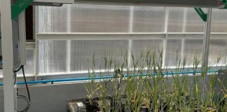 Future-fit grain research infrastructure and innovation