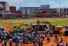 New barley malting facility requires 125 000 tons yearly