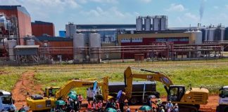 New barley malting facility requires 125 000 tons yearly