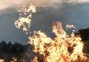 Planning and preparation to manage a wildfire