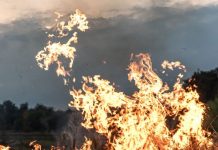 Planning and preparation to manage a wildfire