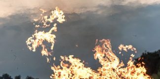 Planning and preparation to manage a wildfire