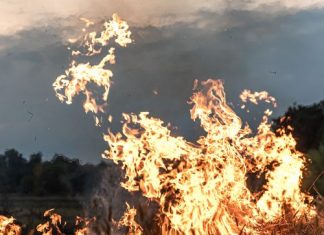 Planning and preparation to manage a wildfire