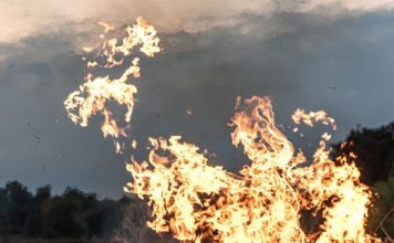Planning and preparation to manage a wildfire