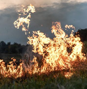 Planning and preparation to manage a wildfire