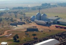 Wanneer mieliepryse daal, maak ’n boer ’n plan