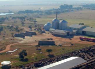 Wanneer mieliepryse daal, maak ’n boer ’n plan
