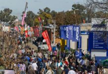 NAMPO 2026 bekragtig landbou se veerkragtigheid deur innovasie