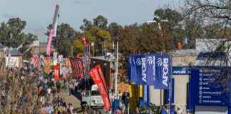 NAMPO 2026 bekragtig landbou se veerkragtigheid deur innovasie