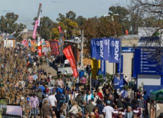 NAMPO 2026 bekragtig landbou se veerkragtigheid deur innovasie