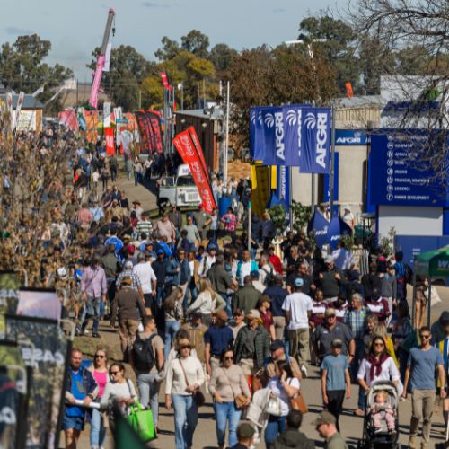 NAMPO 2026 bekragtig landbou se veerkragtigheid deur innovasie