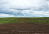 What to do first to correct soil biology – the basics